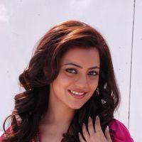 Nisha Agarwal New Stills | Picture 131158